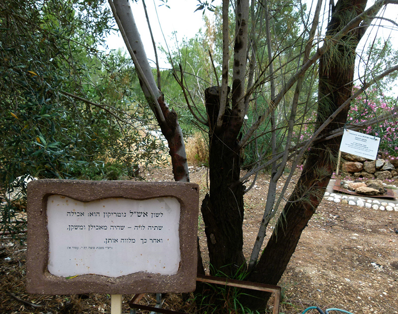 %_tempFileNameeshel%