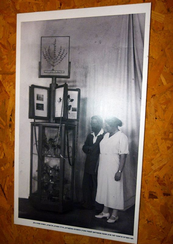 %_tempFileNamehistory5%