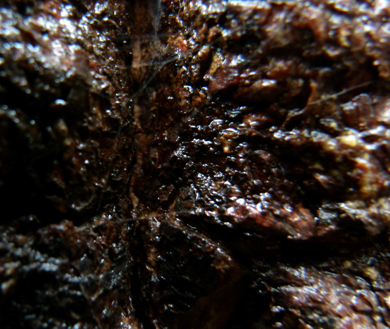 %_tempFileNamepautinka%