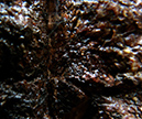 %_tempFileNamepautinka%