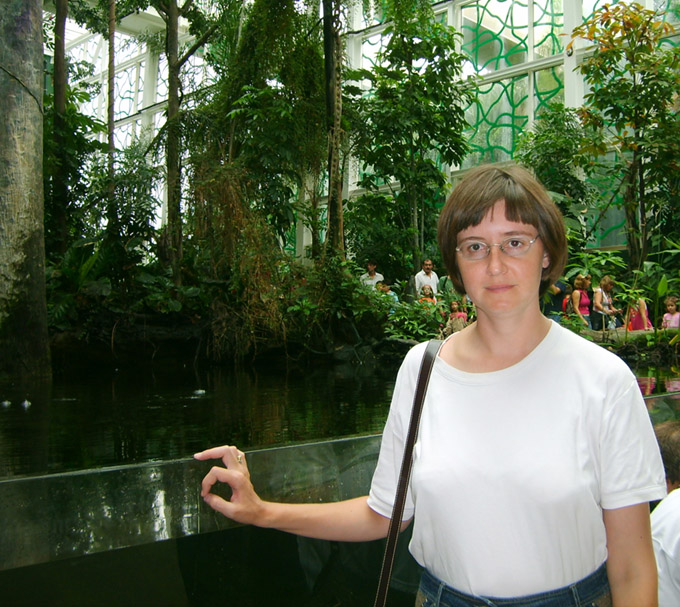 tropic
