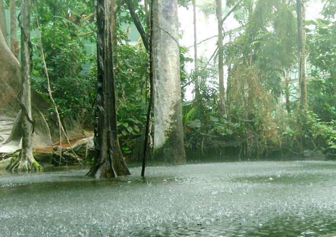 tropic_dozd
