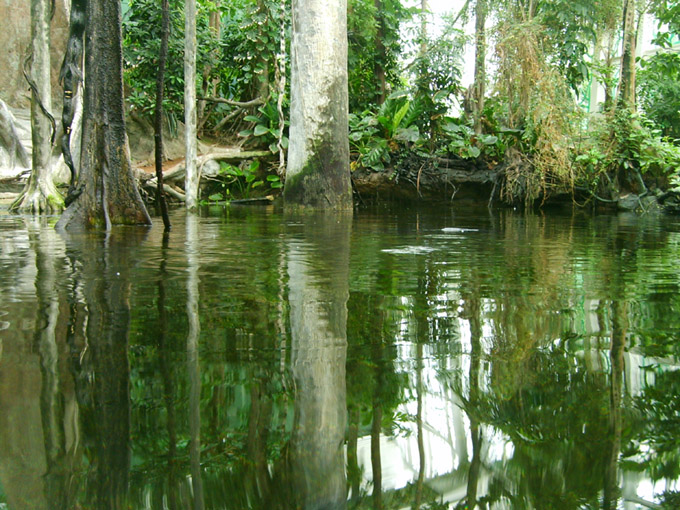 tropic_ozero