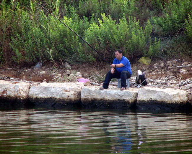 shefax_yarkon