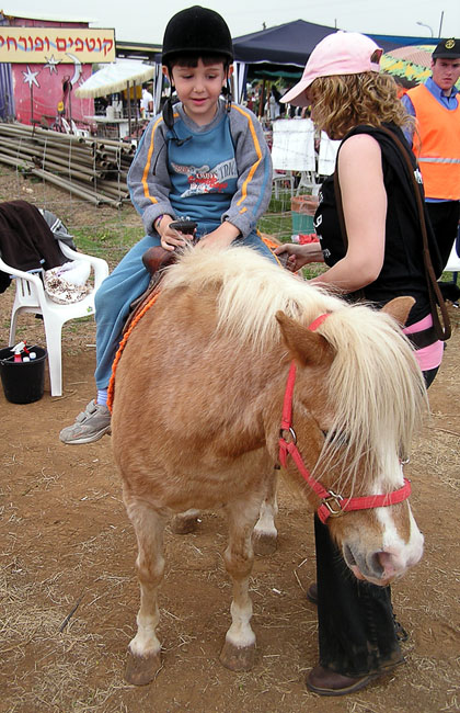 poni4