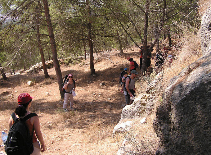 7a