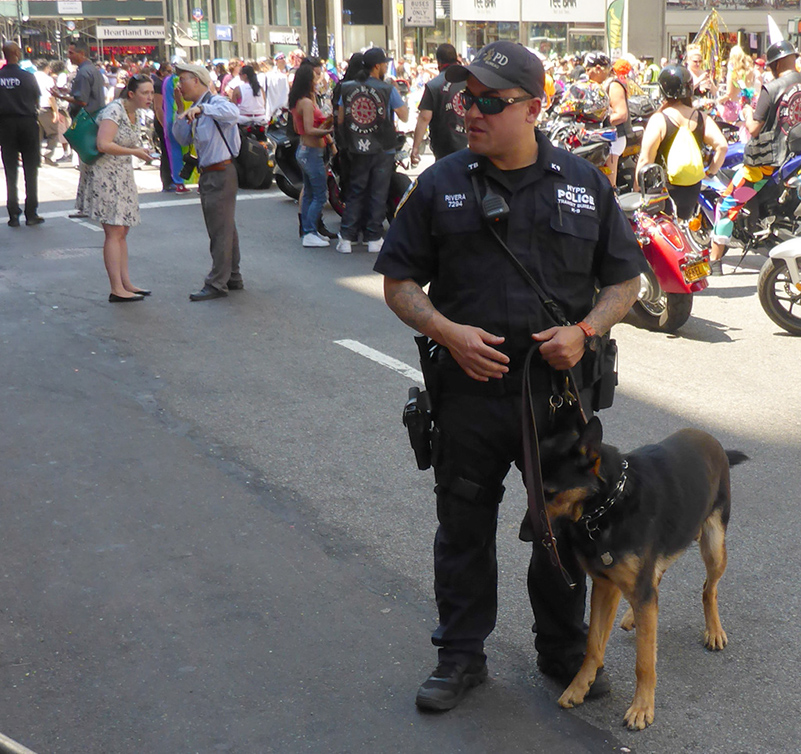 %_tempFileNamepoliceman_dog%