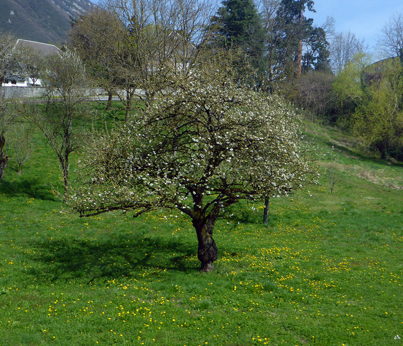 %_tempFileNamederevya%