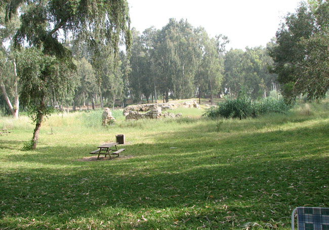 park